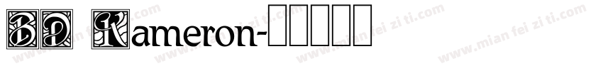 BD Kameron字体转换
